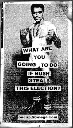 bush steal election