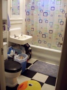 Bathroom: Before